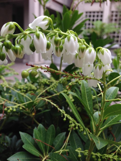 foto: Virginia Blanco