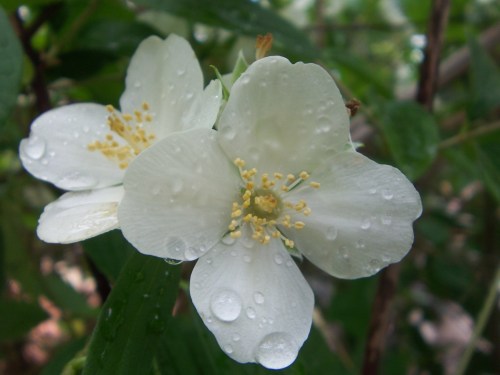 foto: Camina-conmigo.com