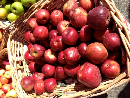 foto: Virginia Blanco