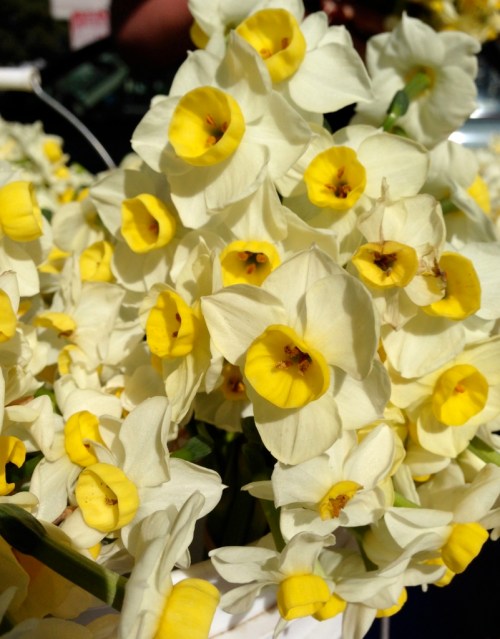 foto: Virginia Blanco