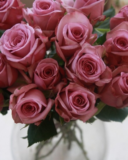 foto: Maison-des-roses.com