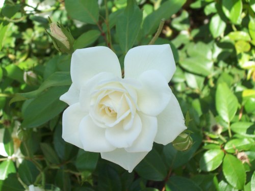 foto: Caro Fernandez