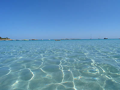 foto: Gosardinia.com