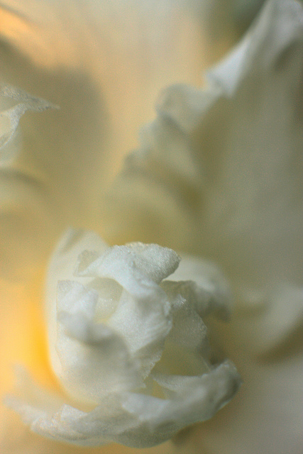 foto: Fotografia101.com