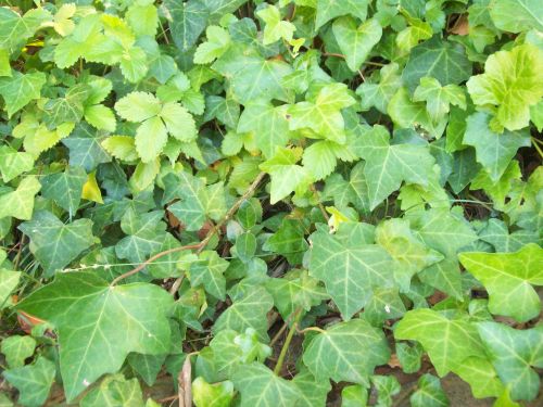 foto: Caro Fernandez