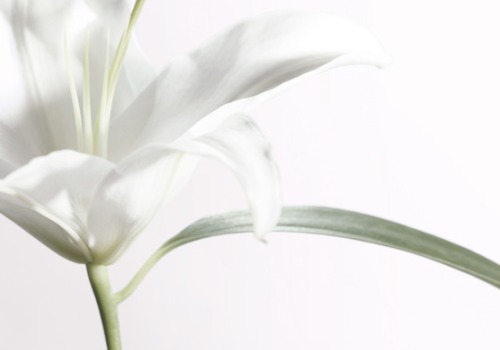 foto: Perfilprivado.com