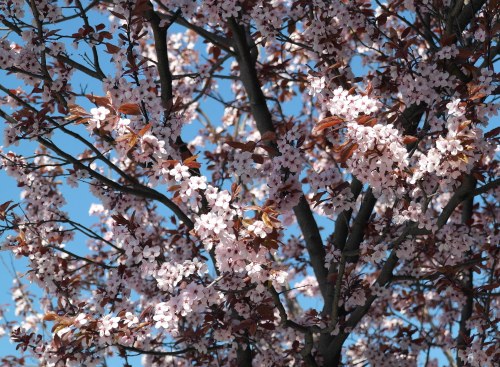 foto: Virginia Blanco