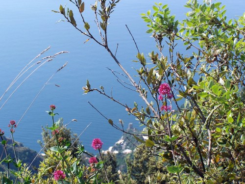 foto: It.wikipedia.org fotógrafo: Porfirio