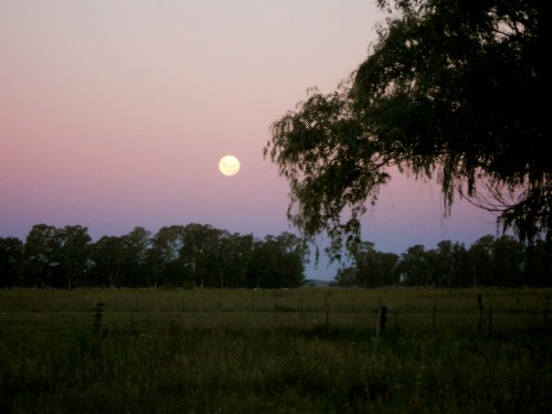 foto: Caro Fernandez