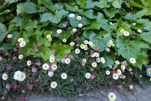 foto: Virginia Blanco