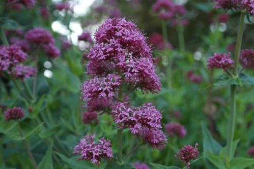 foto: Virginia Blanco