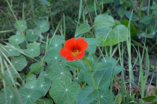 foto: Virginia Blanco