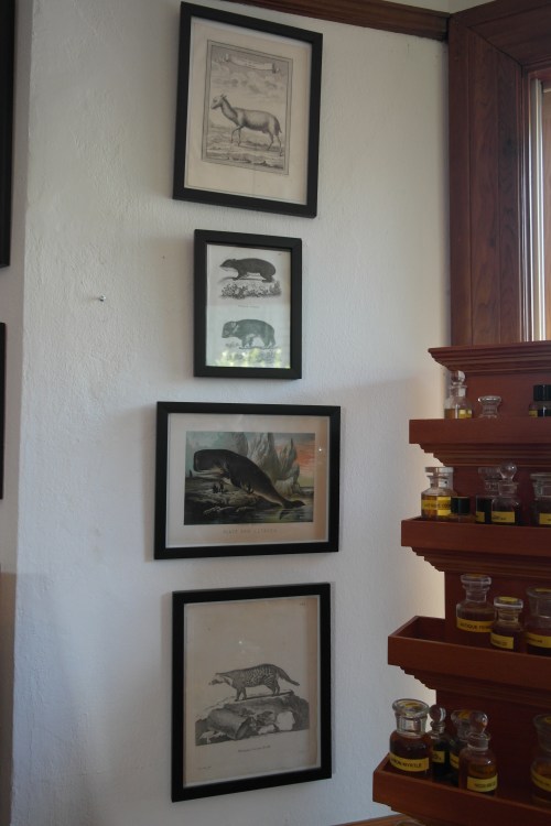 foto: Virginia Blanco