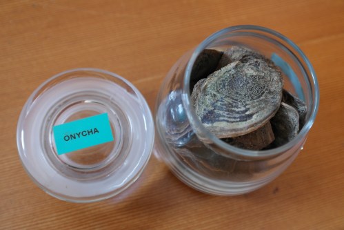 foto: Virginia Blanco