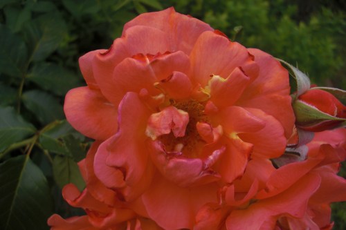 foto: Caro Fernandez