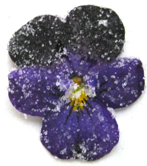 foto: Acanadianfoodie.com