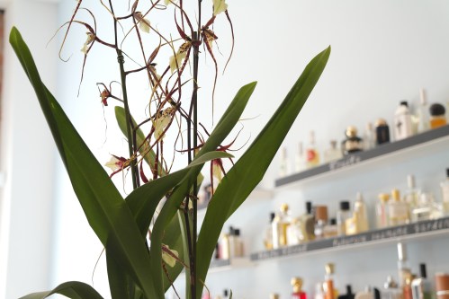 foto: Virginia Blanco