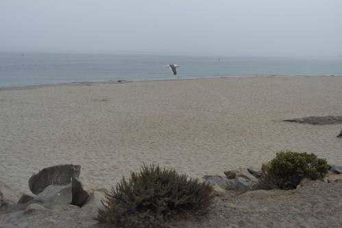 Morro Bay, California - foto: Virginia Blanco
