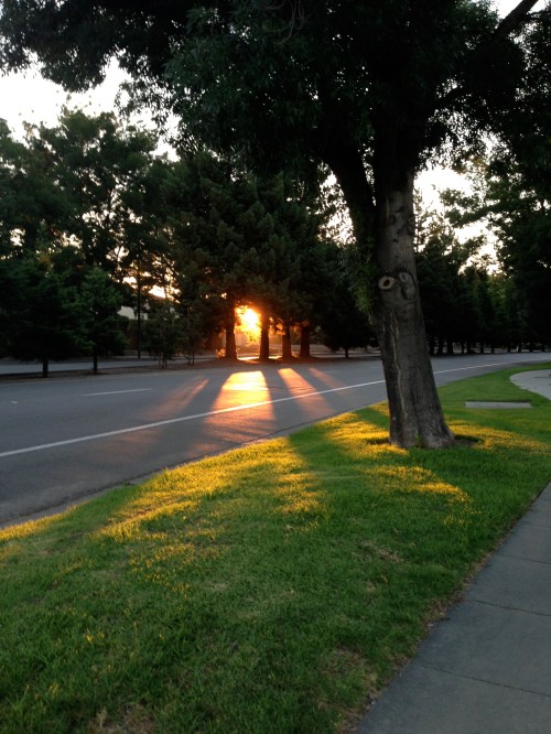 foto: Virginia Blanco