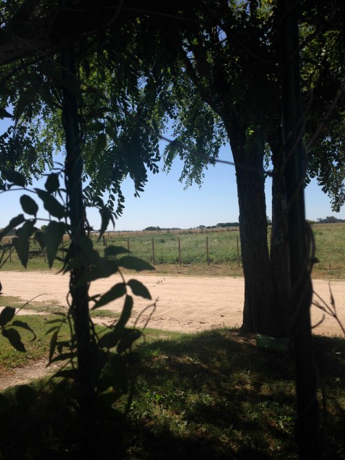 foto: Virginia Blanco  