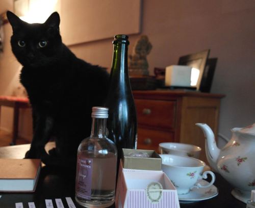 foto: Virginia Blanco Halloween también se mostró interesado en los perfumes