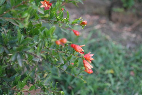 foto: Virginia Blanco  