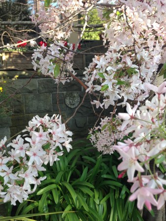 foto: Virginia Blanco