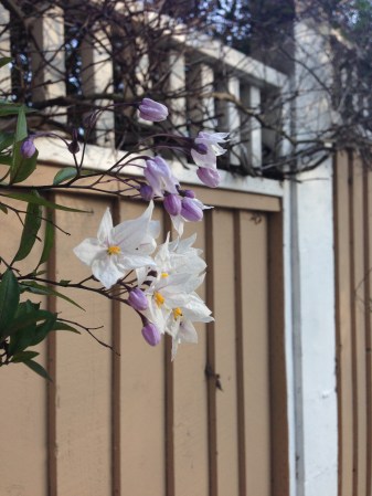 foto: Virginia Blanco