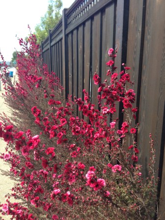 foto: Virginia Blanco