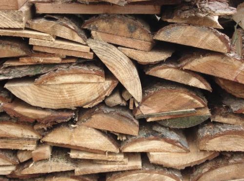 foto: Esperanza van der Zon