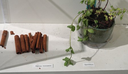 foto: Virginia Blanco