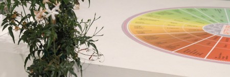 foto: Virginia Blanco