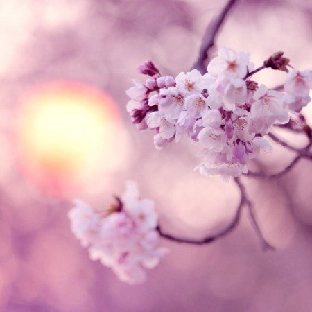 foto: Ginva.com ph: Jyoujo