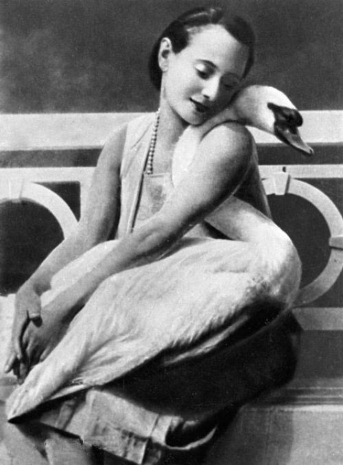 foto: Beautifulrus.com  Ana Pavlova y su cisne Jack, 1927