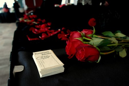 foto: Virginia Blanco  Rosarium Blends