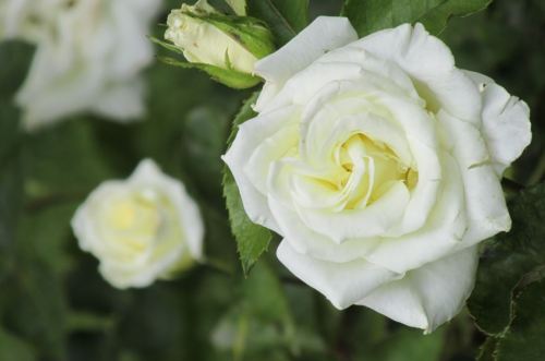 foto: Caro Fernandez