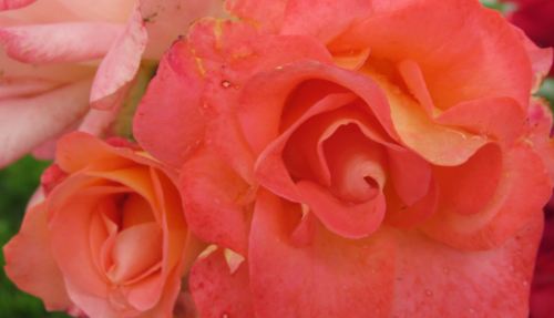 foto: Caro Fernandez