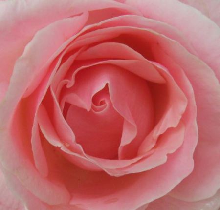 foto: Caro Fernandez