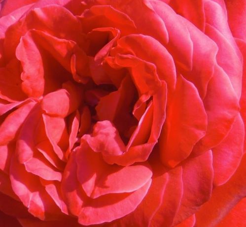 foto: Caro Fernandez 