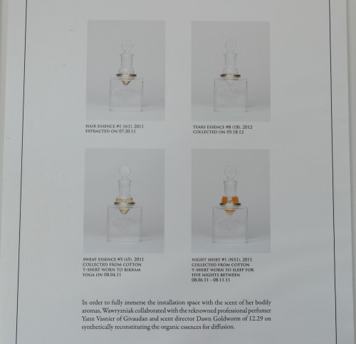 "Smell Me" de Martynka Wawrzyniak  foto: Virginia Blanco