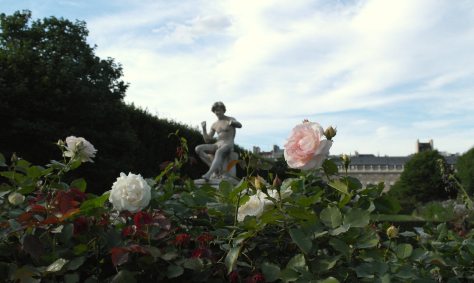 Jardín de la Galerie de Valois, París   foto: Virginia Blanco