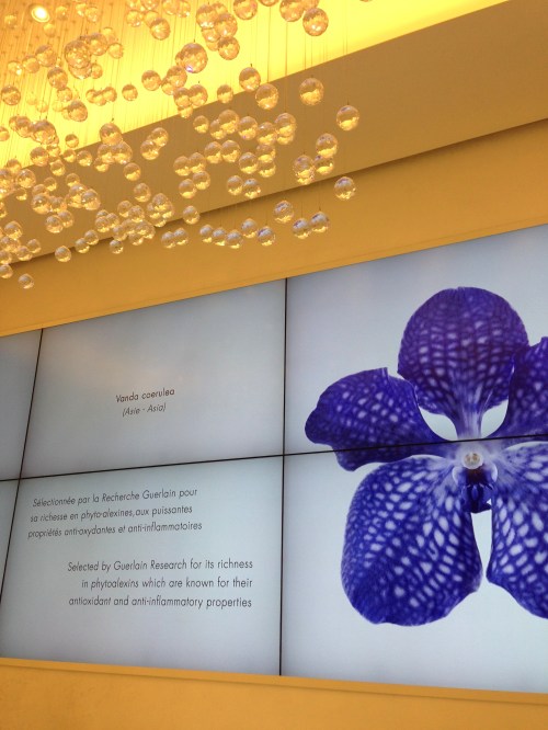 Maison Guerlain foto: Virginia Blanco