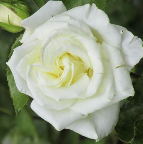 foto: Caro Fernandez